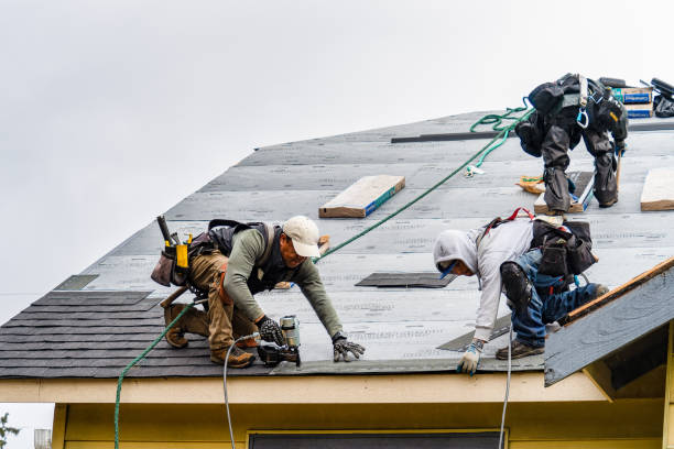 Professional Roofing technician working in Lakeview, MI